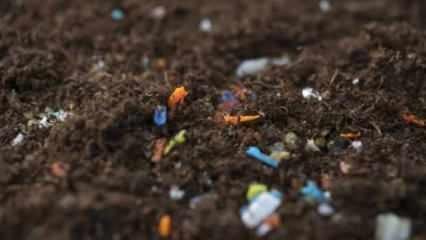 Salata değil, plastik yiyoruz! Tarım ürünlerindeki sessiz tehlike
