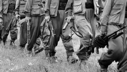 Terör örgütü silahları ne zaman bırakacak? AK Partili Ala'dan açıklama!