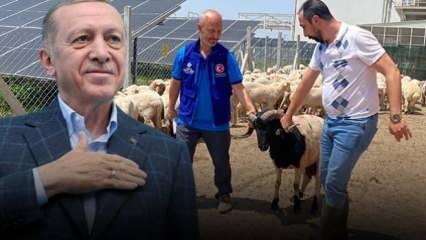 Erdoğan’ın kurban vekaleti TDV tarafından Konya’da yerine getirildi