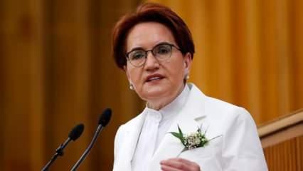 Meral Akşener'den 'Ferdi Zeyrek' paylaşımı