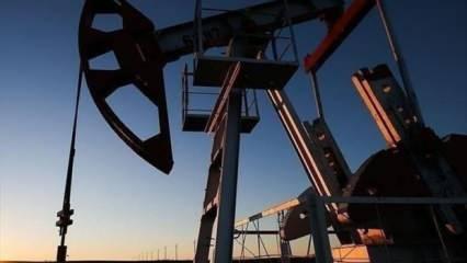 Brent petrolün varili 73,77 dolardan işlem görüyor