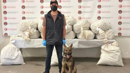 Kapıkule'de 2 TIR’da toplam 212 kilo esrar ele geçirildi