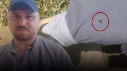  'Keneler, köpekler gibi koku alıp üzerimize geliyor' dedi, korkutan anları kaydetti