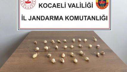 Kocaeli'de akılalmaz olay: Midesinden kapsül kapsül uyuşturucu çıktı