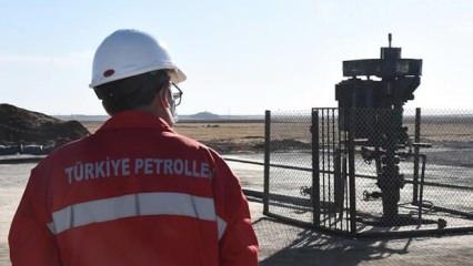 Transatlantic Petroleum'un Batman'daki ruhsatı TPAO'ya devredildi