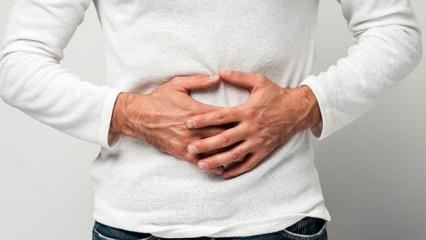 Bu besinler karaciğerdeki yağlanmayı ortadan kaldırıyor! 4 karışım şifa saçıyor