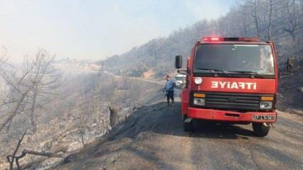 Gaziantep Büyükşehir'den Nurdağı'nda çıkan orman yangınına müdahale