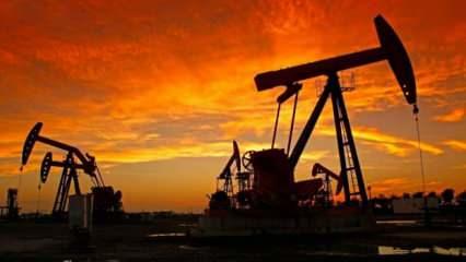 Petrol sürprizi! Kimse bunu beklemiyordu! Fiyatlar bir anda çakıldı! 