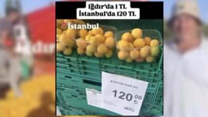 'Iğdır'da kayısı 1 TL, İstanbul'da 120 TL' paylaşımına milyonluk ceza