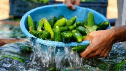 Bu zammın izahı yok! Y&uuml;zde 141 fiyat artışı isyan ettirdi BU işte bir 'HALLER' var