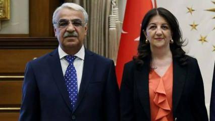 DEM heyetinden İmralı açıklaması