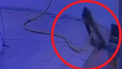 Su tahliyesi sırasında akıma kapılan kapıcının ölüm anı kamerada