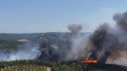 Çanakkale ve Mersin'de orman yangını! 3 mahalle tahliye edildi
