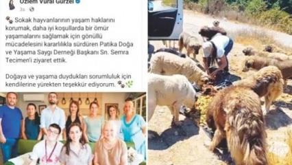 Beykoz'da vekil başkan mama lobisini ziyaret etti: Vatandaş tepki g&ouml;sterdi