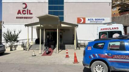 Ağaçtan ceviz topluyordu: Kahreden ölüm!