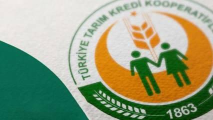 Tarım Kredi Market'te fiyatlar düşüyor! Acele edin ve fırsatı kaçırmayın