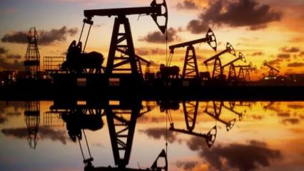 ABD'nin ticari ham petrol stokları 3 milyon 500 bin varil arttı