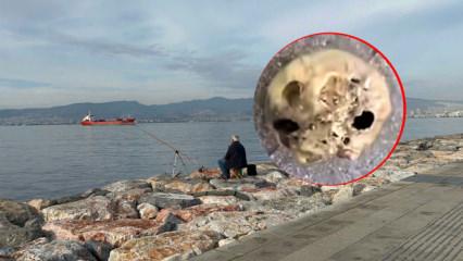 İzmir'de korkunç olay: Oltasına takıldı, hemen ekipleri aradı