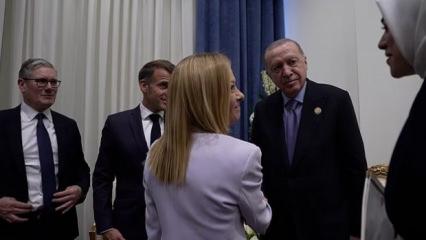 Meloni'den Erdoğan'a esprili yanıt: "Birini öldürmek istemiyorum"