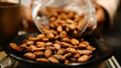 Bir fincan kakaonun şaşırtıcı faydası!