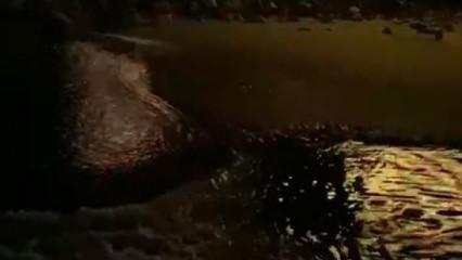 Depremden yarım saat önce dikkat çeken görüntü: Arnavutköy’de deniz çekildi!