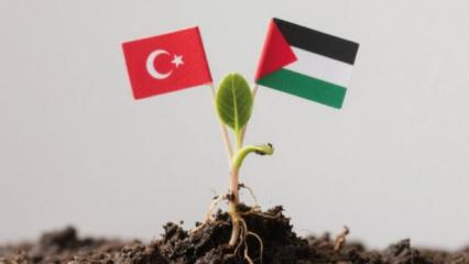 İmam hatipliler şehitlerimiz için fidan dikiyor  