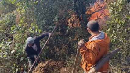 Artvin’de örtü yangını ormana yayıldı