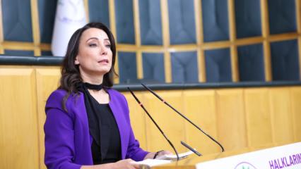 DEM Parti'li Hatimoğulları'ndan 'Ter&ouml;rs&uuml;z T&uuml;rkiye' mesajı