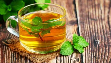 İçmeyen pişman: Kanı temizliyor, demir depolarını dolduruyor!