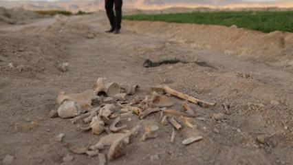 Suriye'de kan donduran manzara! İ&ccedil; savaşın korkun&ccedil; y&uuml;z&uuml; g&ouml;r&uuml;nt&uuml;lendi