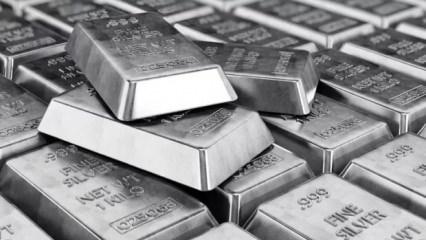 G&uuml;m&uuml;şte rekor sonrası alarm: Fiyatlarda ani &ccedil;akılma riski oluştu