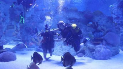 Engelliler, su altı dalışı yaparak yeteneklerini sergiledi