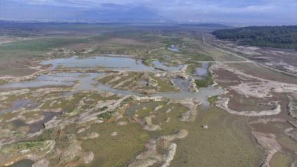 İzmir'de barajlar kuruyor, kritik eşik aşıldı: Önümüzdeki yaz daha tehlikeli olacak!