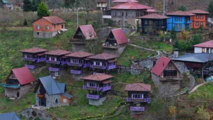 Doğu Karadeniz&rsquo;deki turizm tesislerinde hareketlilik yaşanıyor!