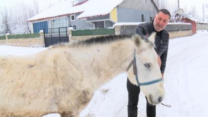 Muş'ta kışın &ouml;l&uuml;me terk edilen canlara sahip &ccedil;ıkıyor