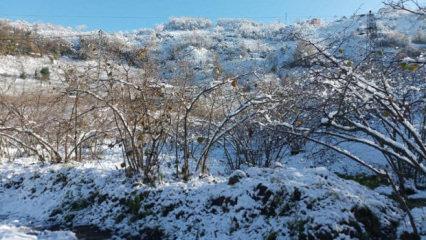 Fındık &uuml;reticilerinin kar sevinci