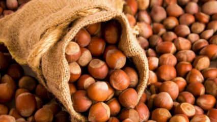 Tam tamına 238 bin ton! İşte T&uuml;rkiye'nin en &ccedil;ok fındık sattığı &uuml;lke