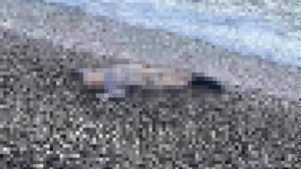 İzmir'de sır olay: Sahile vurmuş &ccedil;ocuk cesedi bulundu