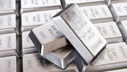 &Ccedil;ılgın tahmin yatırımcıyı ayağa kaldırdı