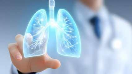 Uzmanlar eczaneye değil mutfağınıza gidin, diyor: Akciğerleri filtre gibi temizleyen besinler!