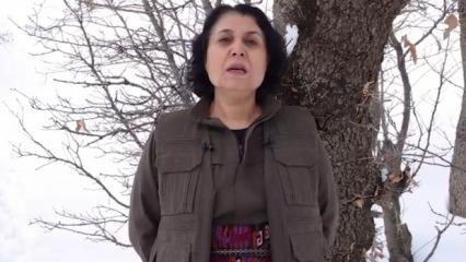 Suriye ordusu s&uuml;p&uuml;rd&uuml;, Kandil ağlama duvarına d&ouml;nd&uuml;! Ararat: 'Başını T&uuml;rk devleti &ccedil;ekti'