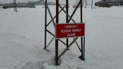 Hakkari'de bir eşekte kuduz tespit edildi! K&ouml;y karantinaya alındı