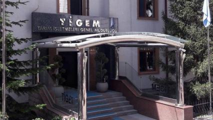 TİGEM 24 bin kilogram koyun s&uuml;t&uuml; satacak