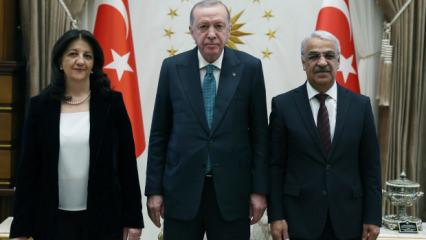 Cumhurbaşkanı Erdoğan, DEM Parti heyetini kabul etti