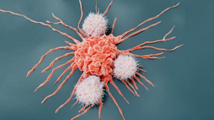 Kansere yol a&ccedil;tığı ortaya &ccedil;ıktı! T&uuml;ketmeden &ouml;nce 1 kez daha d&uuml;ş&uuml;n&uuml;n