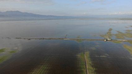 Kahramanmaraş'ta sağanak yağış vurgunu! 20 bin d&ouml;n&uuml;m arazi sular altında