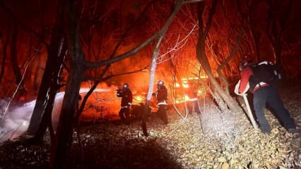 200 futbol sahası b&uuml;y&uuml;kl&uuml;ğ&uuml;nde alan k&uuml;le d&ouml;nd&uuml;