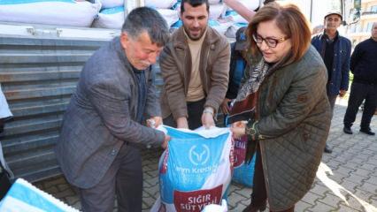 Gaziantep B&uuml;y&uuml;kşehir'den 1 milyon kiloyu aşan yem desteği