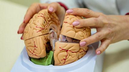 Yaşlanmanızı 5 yıl geciktiriyor! Bunama riskini %40'a kadar azaltıyor