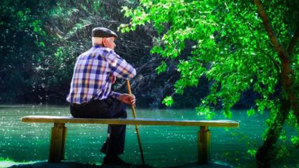 Sadece 65 yaş &uuml;st&uuml; değil t&uuml;m emeklileri kapsıyor: İşte 2026'da yararlanılabilecek haklar